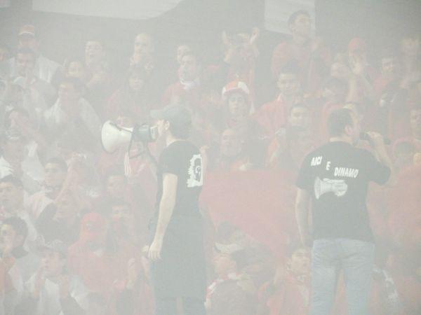 aici e dinamo
