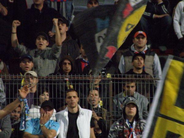 ultras steaua