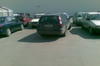 Un Magar in parcare la supermarket