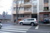 Gibonul cu "gip" V