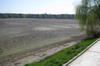 "Lacul" Herastrau