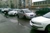 Bizon in parcare