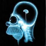 Neuronul stingher