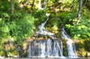 Cascada