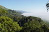 Nepenthe Restaurant, Big Sur