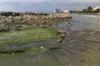 Dig Constanta