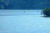 Lacul Surduc