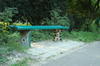 Banca in Parcul Carol