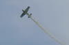 Show aviatic [7]