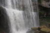 Cascada Webster