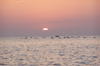 rasarit cam ..aglomerat la Mangalia