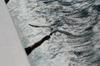 Pescarus [1]