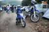 Micul Rossi