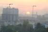 Apus urban [1]