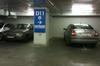 Bizonul parcheaza