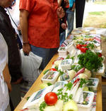 Proiectul Ecologic Romanesc