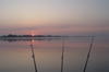 Rasarit