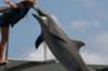 Flipper :D 16 oct 2009