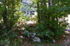 Excursie in Muntii Maramuresului (5)