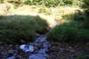 In excursie in Muntii Maramuresului (6)