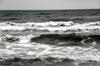 Marea Neagra - noiembrie 2009 (1)
