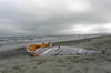 Marea Neagra - noiembrie 2009 (4)