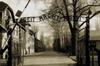 Unele drumuri duc la Auschwitz (2)