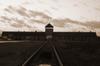Unele drumuri duc la Auschwitz (3)