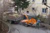 Ciuntirea arborilor