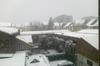 Ninge in Bruxelles (2)