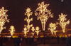sibiu, file de poveste (2)