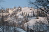 Mt Rarau (2)