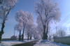 iarna in Moldova