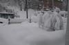 Snowzilla