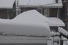 Snowzilla (3)