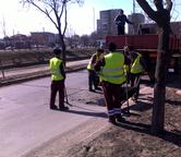 casic romanian
