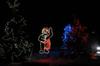 Festi Lumi��re (2)
