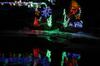 Festi Lumi��re (3)