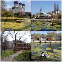 Distrugerea complexului Lac Padurice Arad