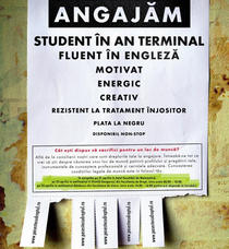 Anunt de angajare