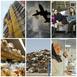 Subiectele Zilei
