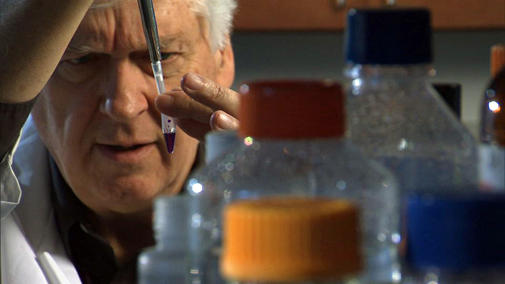 Dr. Hamilton Smith