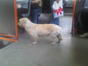 cu transportul in comun (2)
