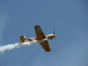 Otopeni air Show 2010