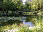 In parc