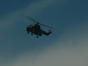 IAR (2)