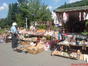 parcul titulescu (3)
