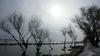 SOARE CU DINTI (3)