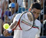 Victor Hanescu