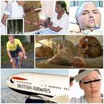 Faze Tari